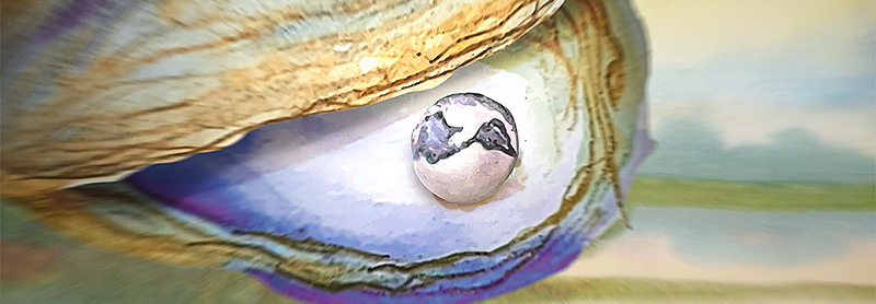 Hand drawn pearl inside of an oyster